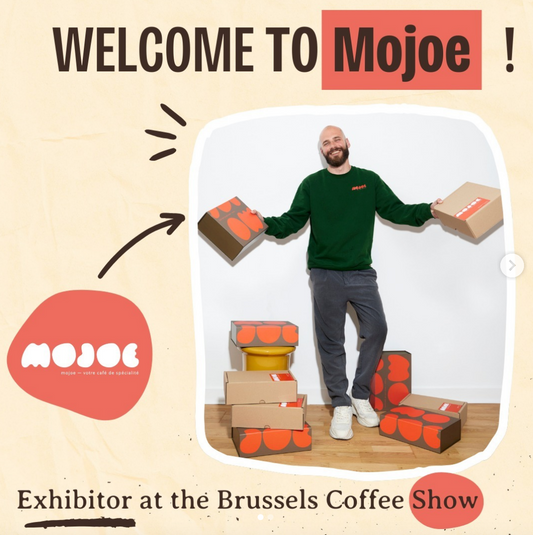 Trésor collabore avec Mojoe !