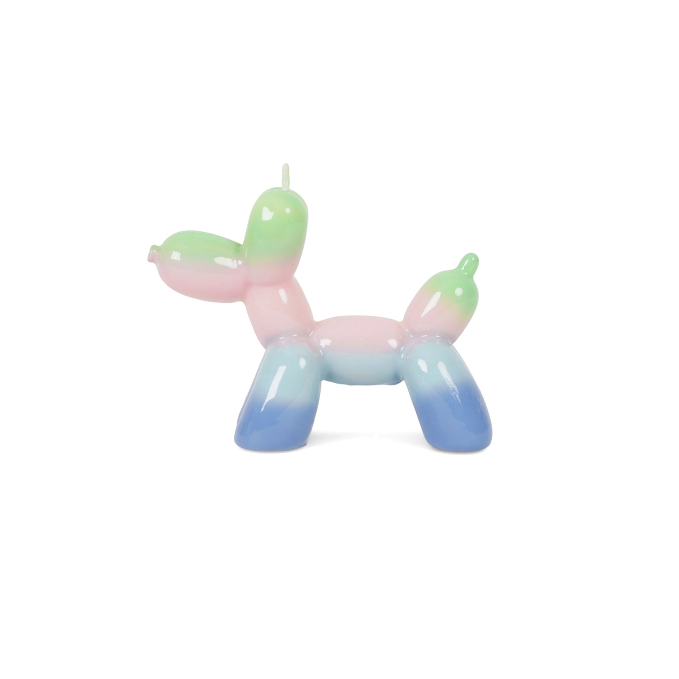Bougie - Chiens