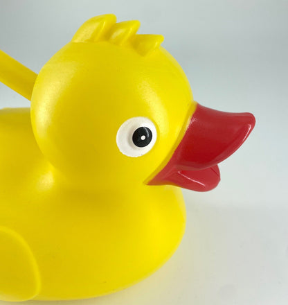 Canard arrosoir