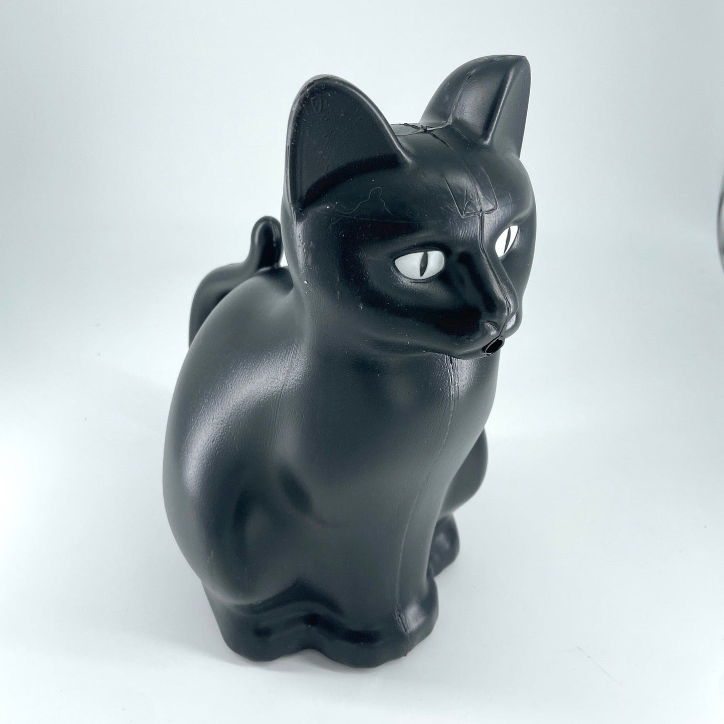 Chat arrosoir