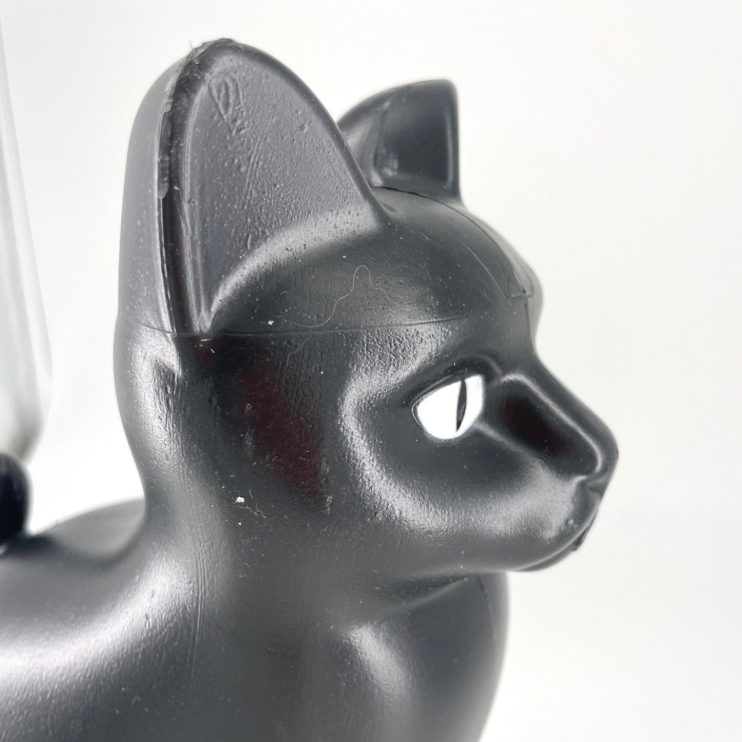 Chat arrosoir