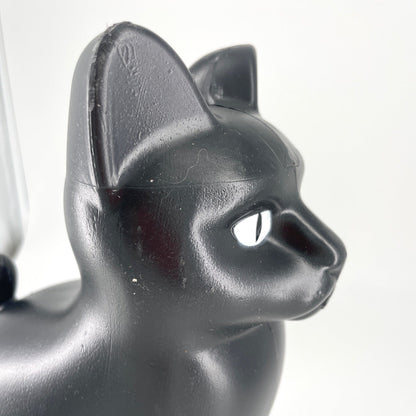 Chat arrosoir