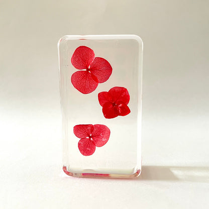 Grand cube de fleur sauvage - Morphead Hydrangea