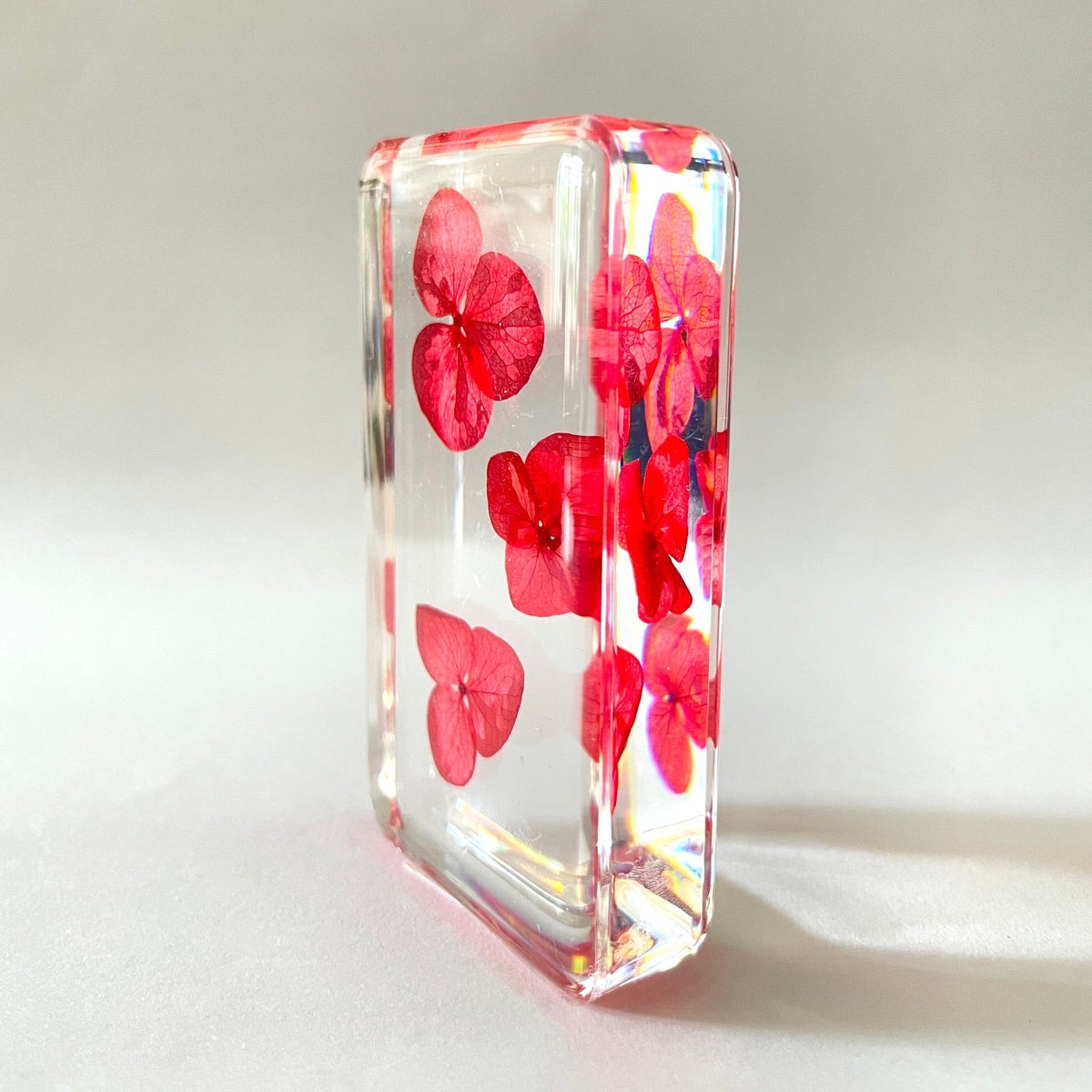 Grand cube de fleur sauvage - Morphead Hydrangea