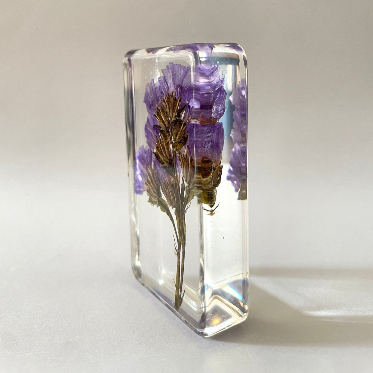 Grand cube de fleur sauvage - Forget Me Not