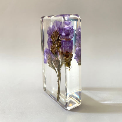 Grand cube de fleur sauvage - Forget Me Not