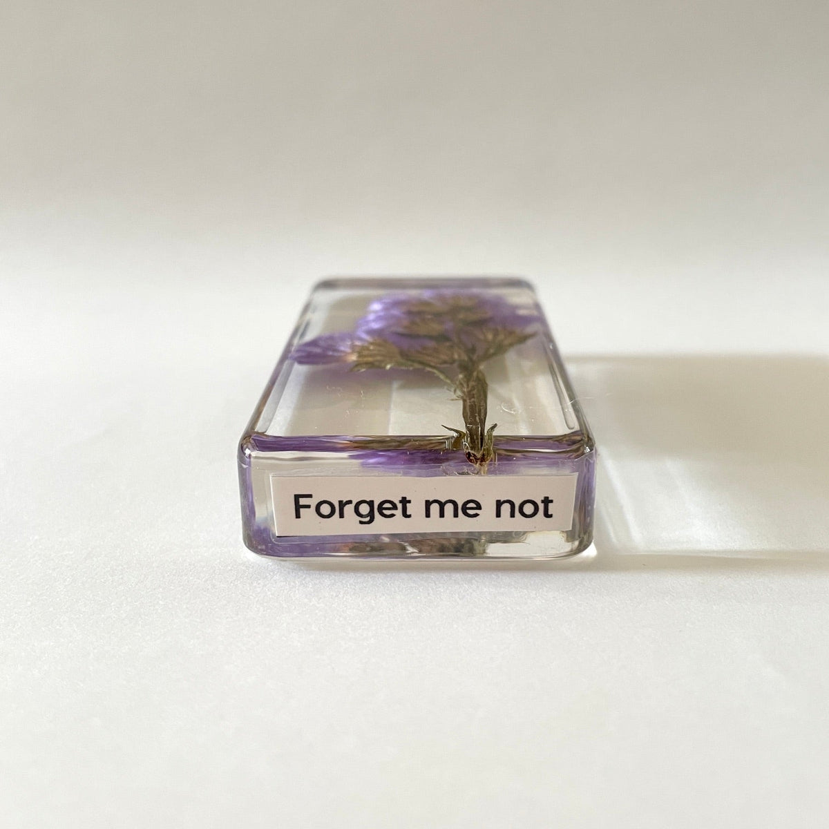 Grand cube de fleur sauvage - Forget Me Not