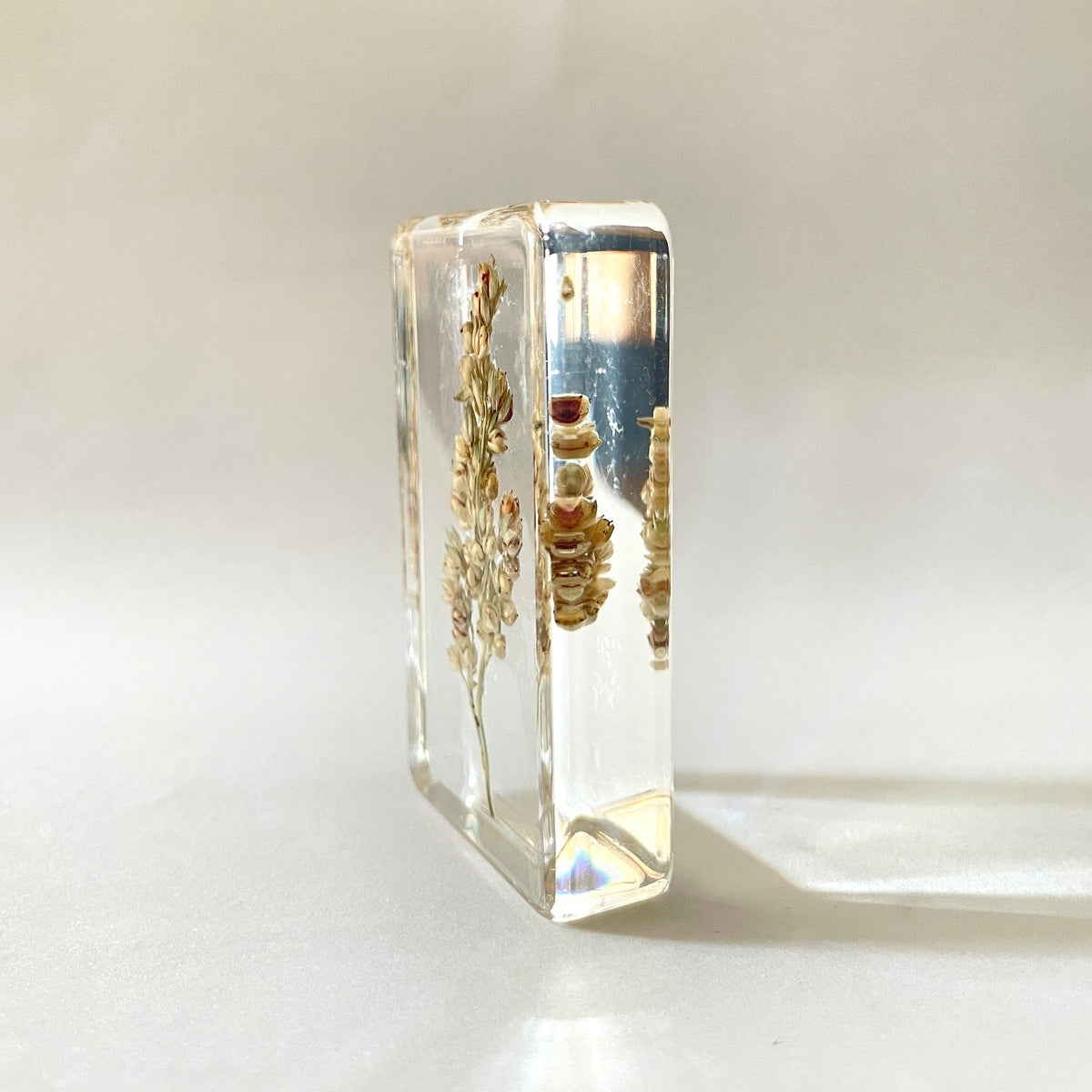 Grand cube de fleur sauvage - Sorghum