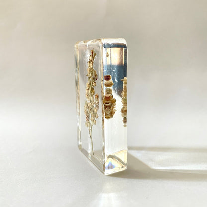 Grand cube de fleur sauvage - Sorghum