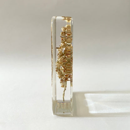 Grand cube de fleur sauvage - Sorghum