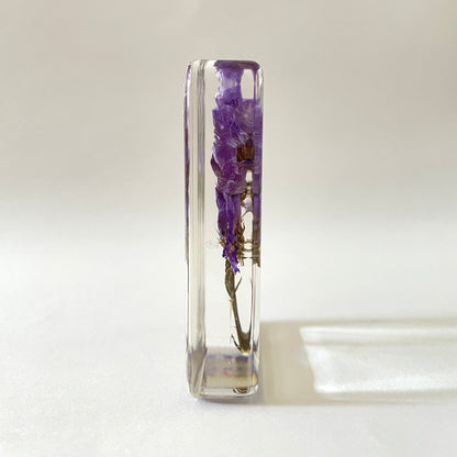 Grand cube de fleur sauvage - Forget Me Not