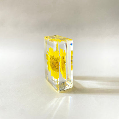Petit cube de fleur sauvage - Yellow Daisy