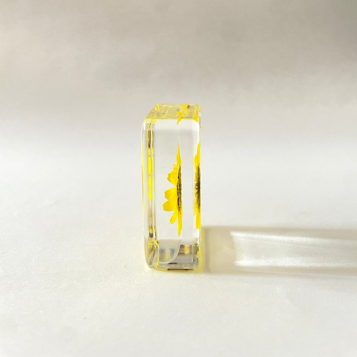 Petit cube de fleur sauvage - Yellow Daisy