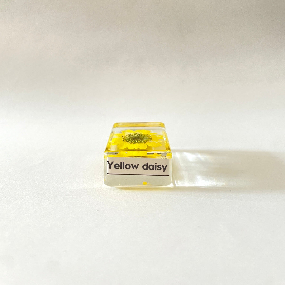 Petit cube de fleur sauvage - Yellow Daisy