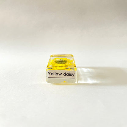 Petit cube de fleur sauvage - Yellow Daisy