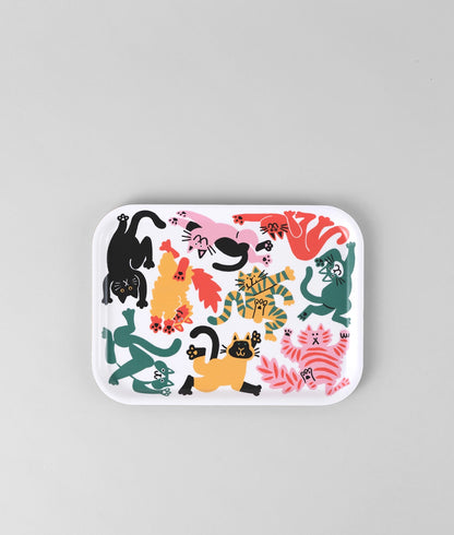 Plateau - Chats